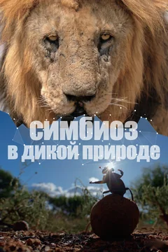 Сериал Симбиоз в дикой природе (1 сезон)